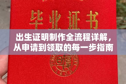 洪山出生证明制作全流程详解，从申请到领取的每一步指南